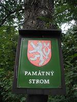 Tabule - památný strom, CHKO Poodří