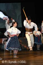 Národní krojový ples