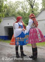 Folklorní sdružení Strážnicko-Veselsko-Horňácko